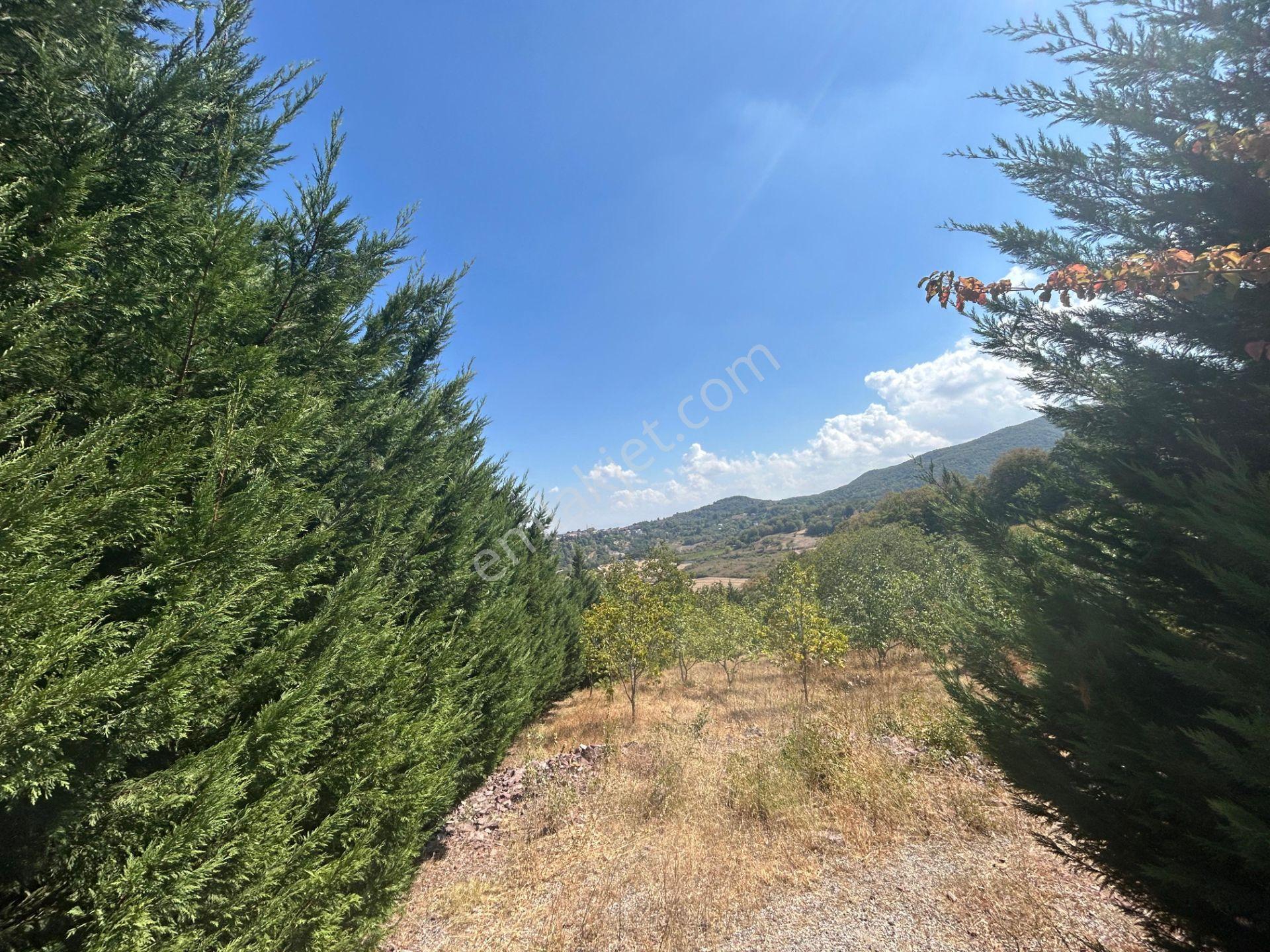 Yalova Çiftlikköy Gacık 5340 M² Merkeze Yakın Satılık Tarla - Görsel 6
