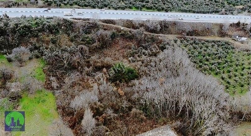 Bursa/mudanya/aydınpınar Ana Asfalta Cephe Satılık Tarla - Görsel 7