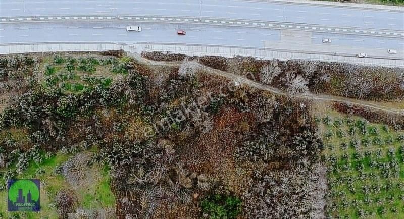 Bursa/mudanya/aydınpınar Ana Asfalta Cephe Satılık Tarla - Görsel 3