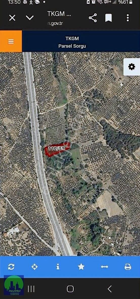 Bursa/mudanya/aydınpınar Ana Asfalta Cephe Satılık Tarla