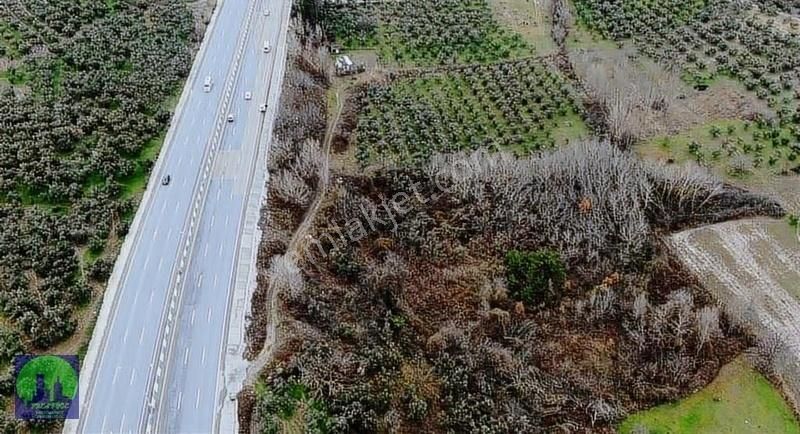 Bursa/mudanya/aydınpınar Ana Asfalta Cephe Satılık Tarla - Görsel 2
