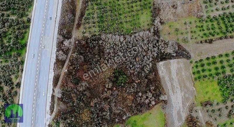 Bursa/mudanya/aydınpınar Ana Asfalta Cephe Satılık Tarla - Görsel 8