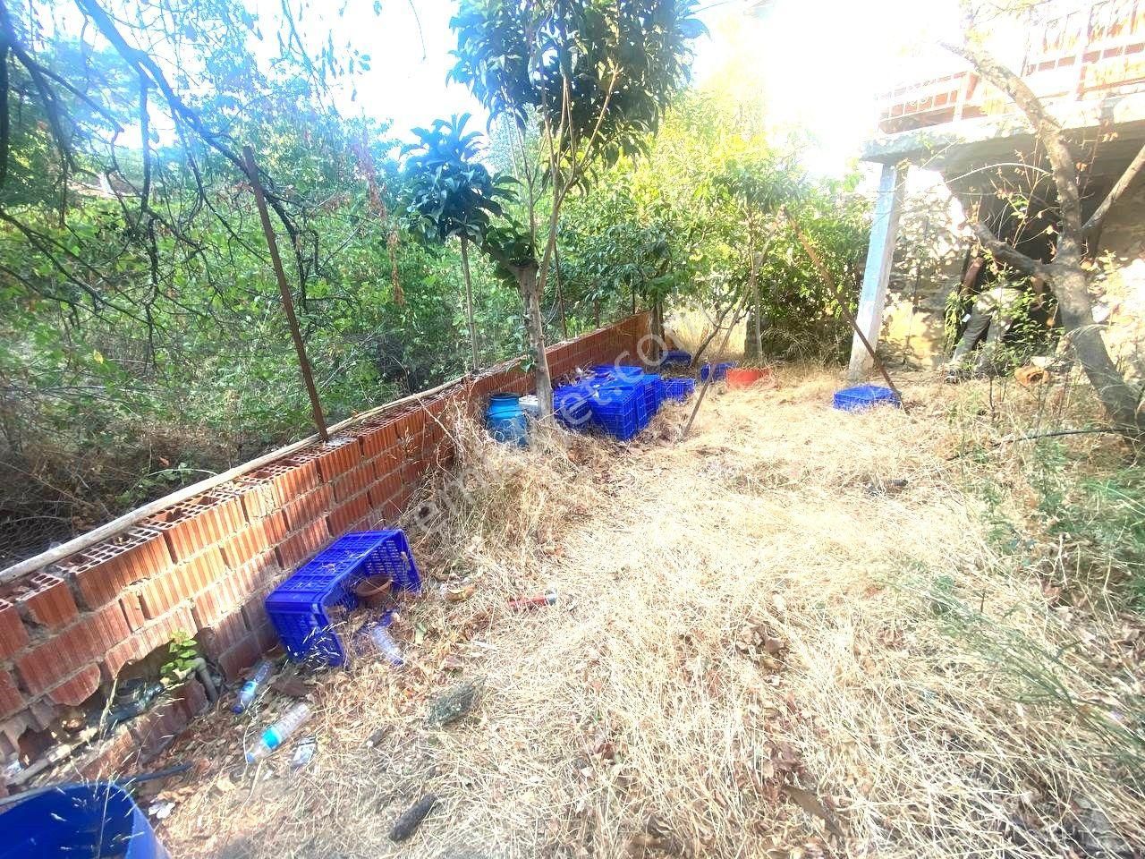 ✔🟥aktiften Doğa İle İç İçe Olamak İsteyenlere Fırsat 494 M2 İçerisinde Satılık Müstakil Ev - Görsel 3