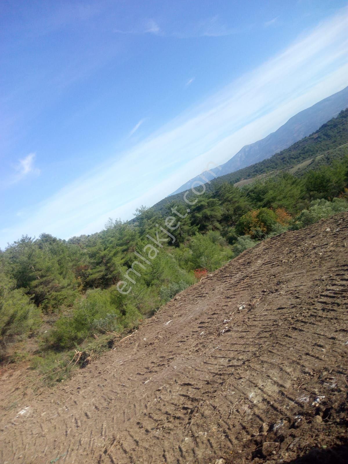 Satılık Tarla - Görsel 3