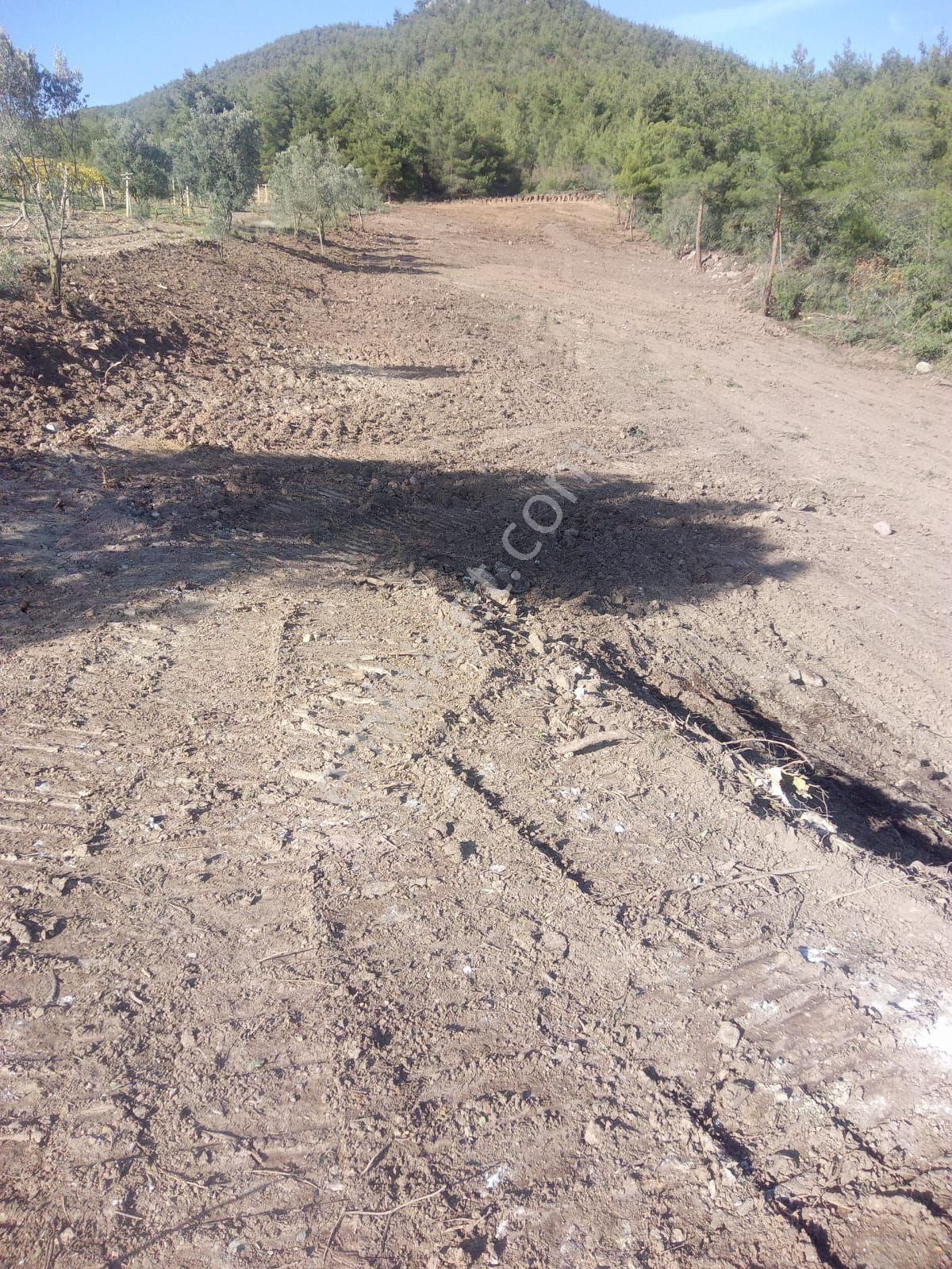 Satılık Tarla - Görsel 2