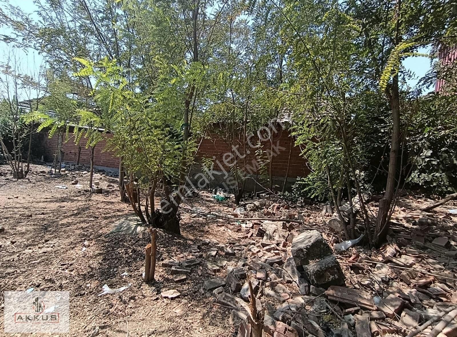Akkuş Emlak'tan Tutanlar Merkezde Arsa - Görsel 12