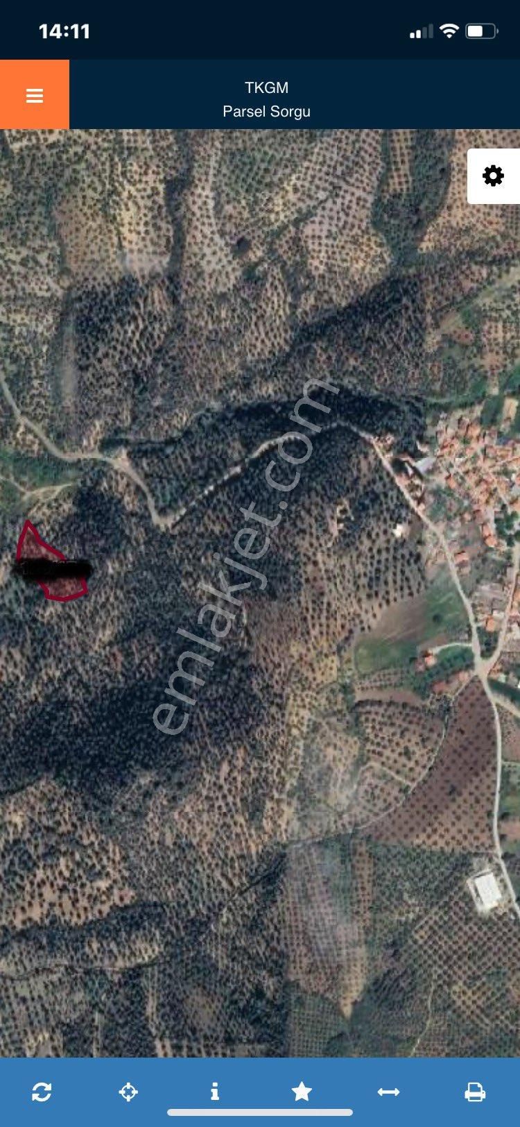 Olcaysu'dan Gömeç De 4261m2 Yatırımlık Zeytinlik - Görsel 2