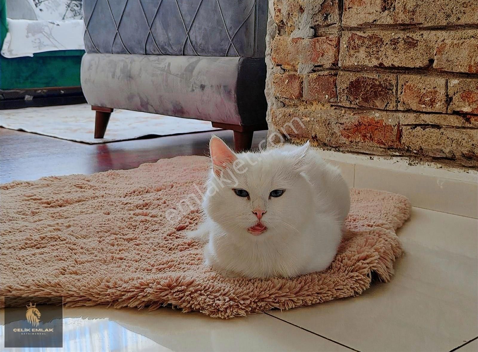 Beykoz Paşabahçe 2+1 Bahçeli Balkonlu Kiralık Daire - Görsel 24