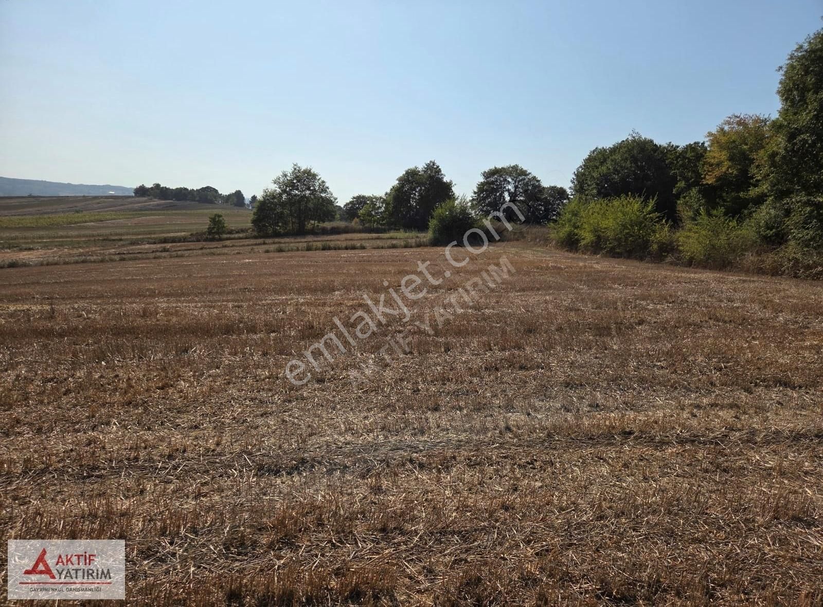 Kandıra Balcı Köyü Toplulaştırmada 3263 M2 Yatırımlık Tarla - Görsel 4