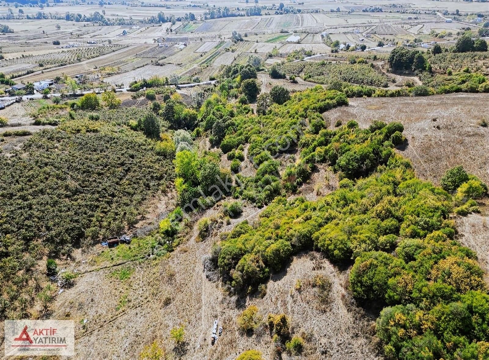 Çalköy'de Seyrek Plajına 5 Dk Mesafede Satılık 2389 M2 Tarla - Görsel 6