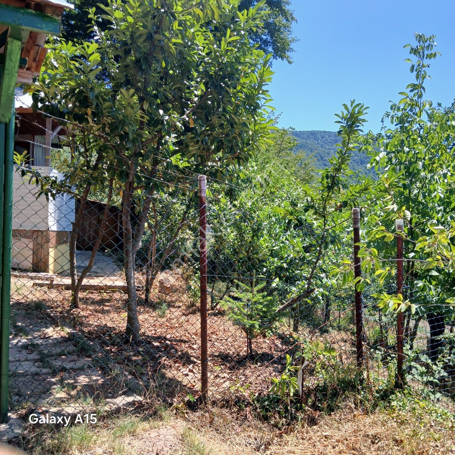 Kaçmaz Emlak'tan Kocaeli Başiskele Satılık Müstakil Ev - Görsel 2