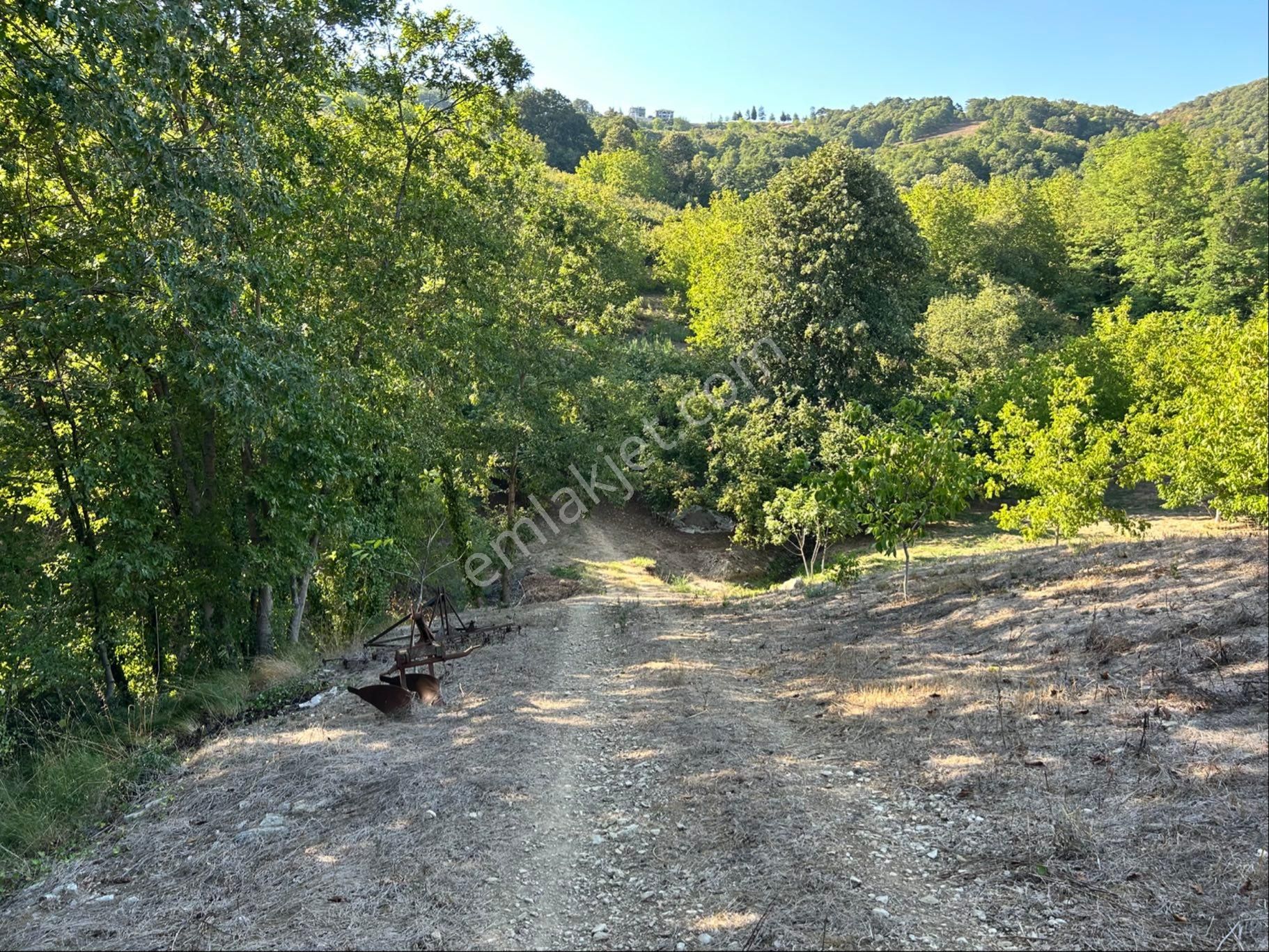 Remax Mavi Volkan Büyükyıldız’dan-serdivan’da Yatırımlık Arazi