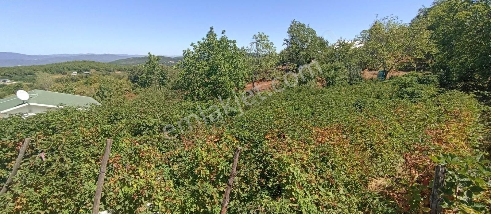 Lütfiyede Tek Tapu 813 M2 Köyiçi İmarın Dibinde Efsane Zemin - Görsel 3