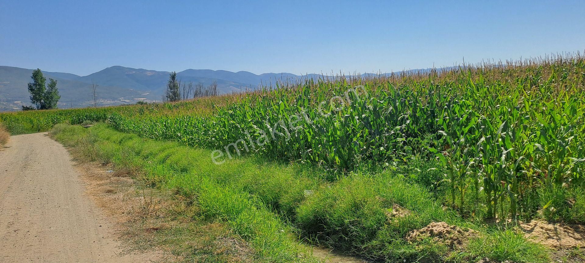 Dökmetepede Satılık Arsa - Görsel 10