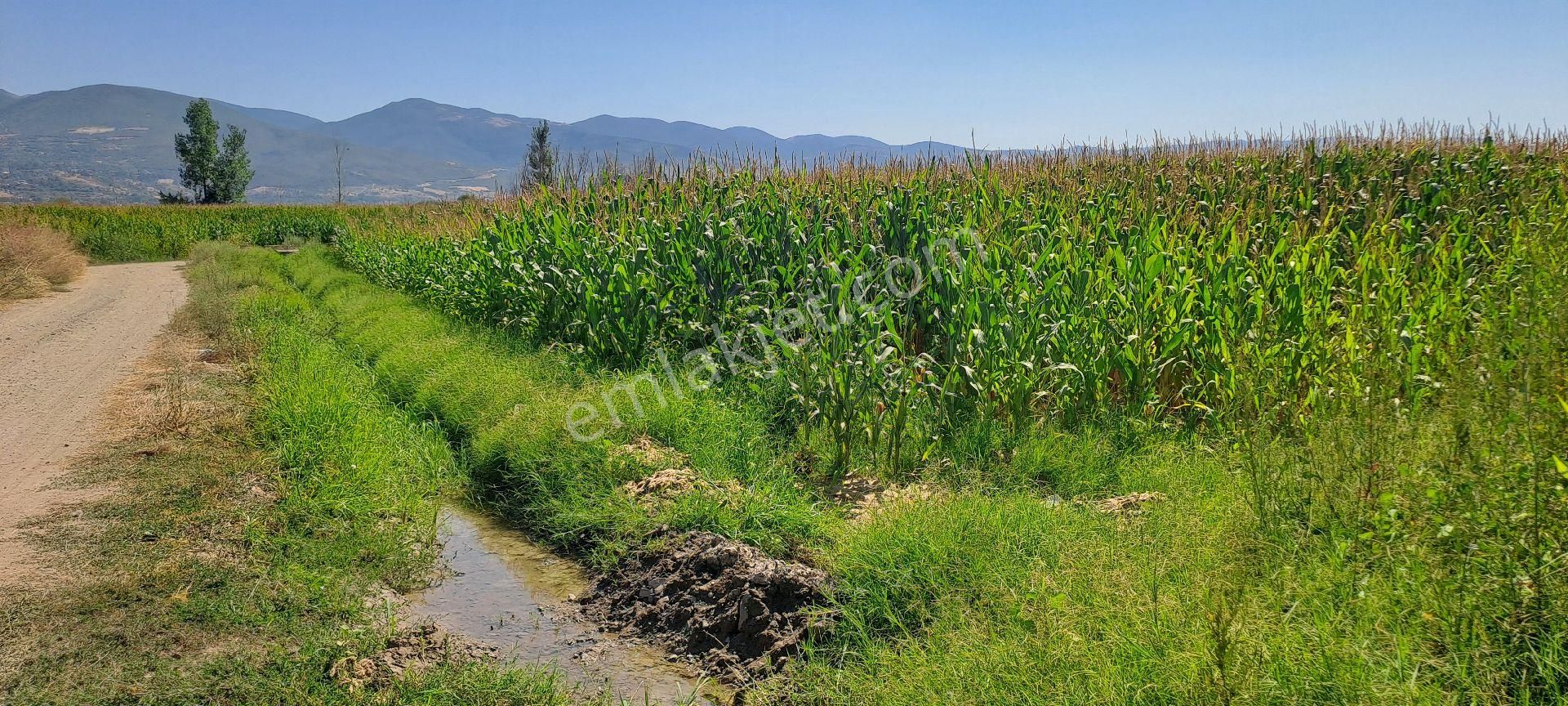 Dökmetepede Satılık Arsa - Görsel 11