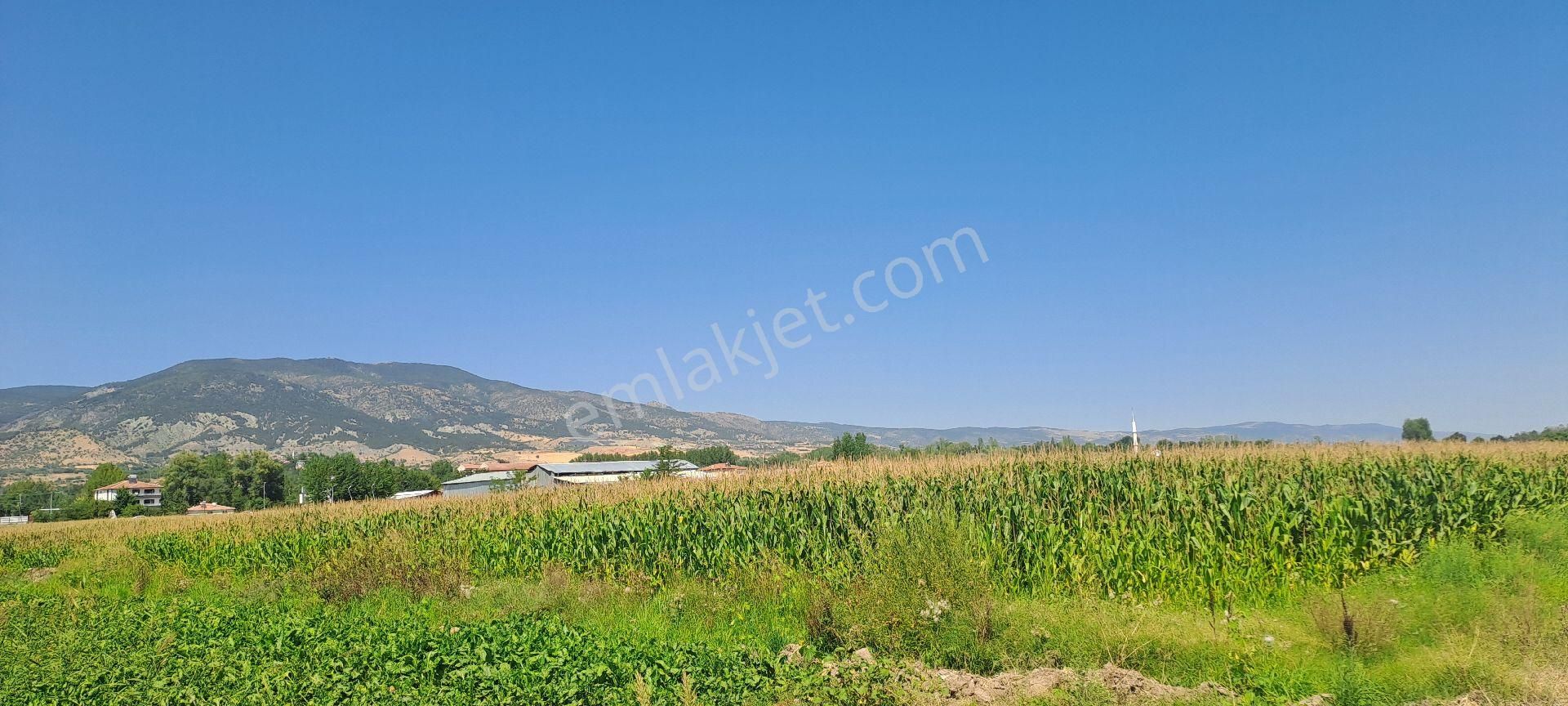 Dökmetepede Satılık Arsa - Görsel 4