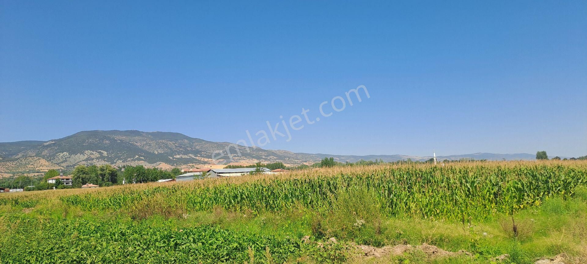 Dökmetepede Satılık Arsa - Görsel 7