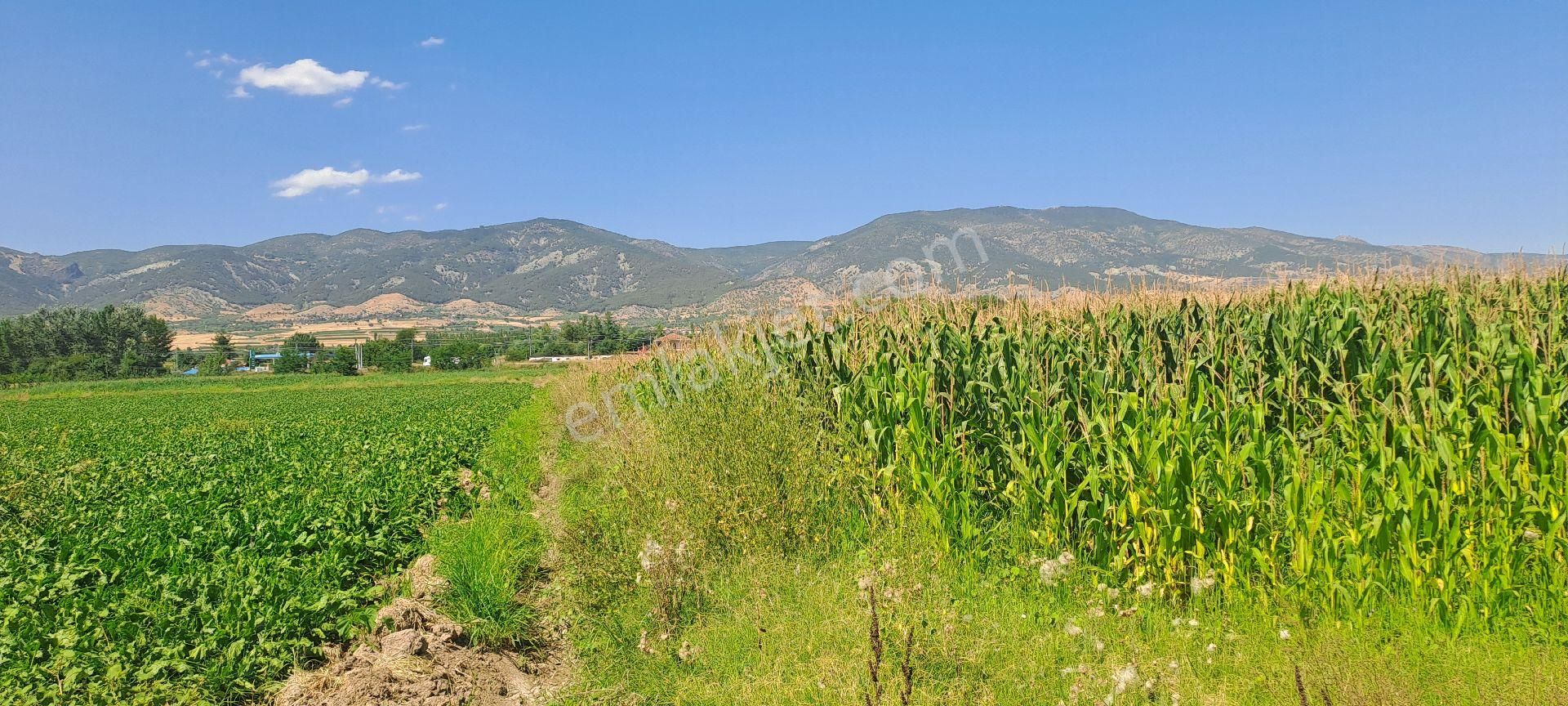 Dökmetepede Satılık Arsa - Görsel 5