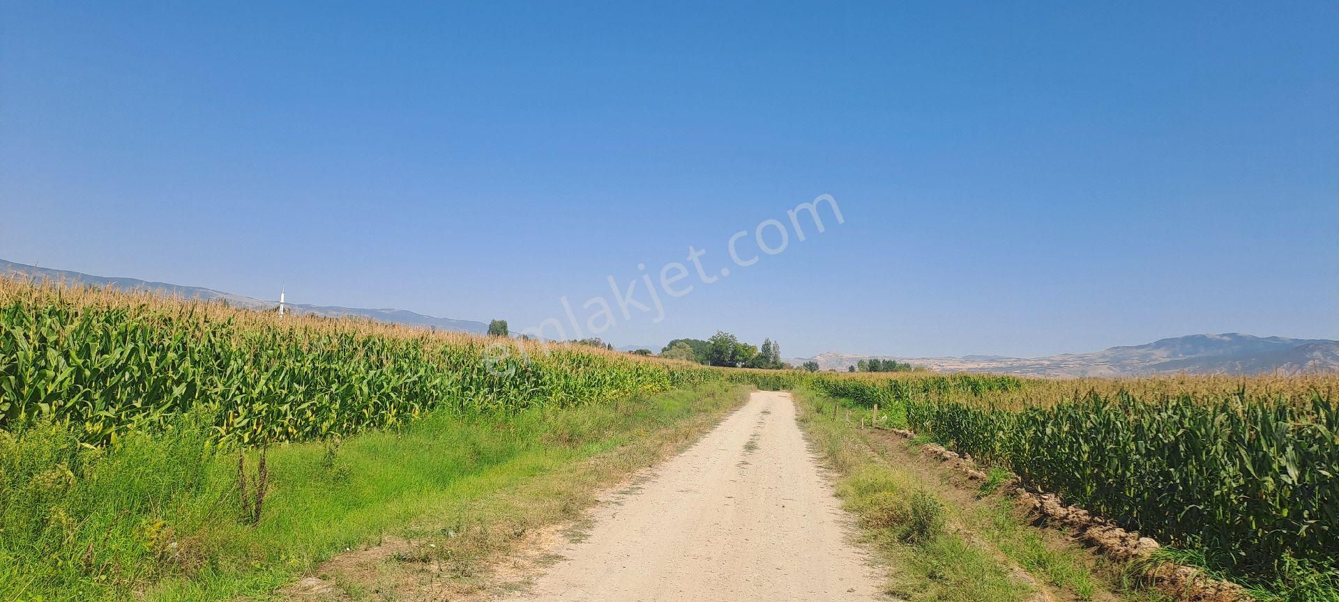 Dökmetepede Satılık Arsa - Görsel 2