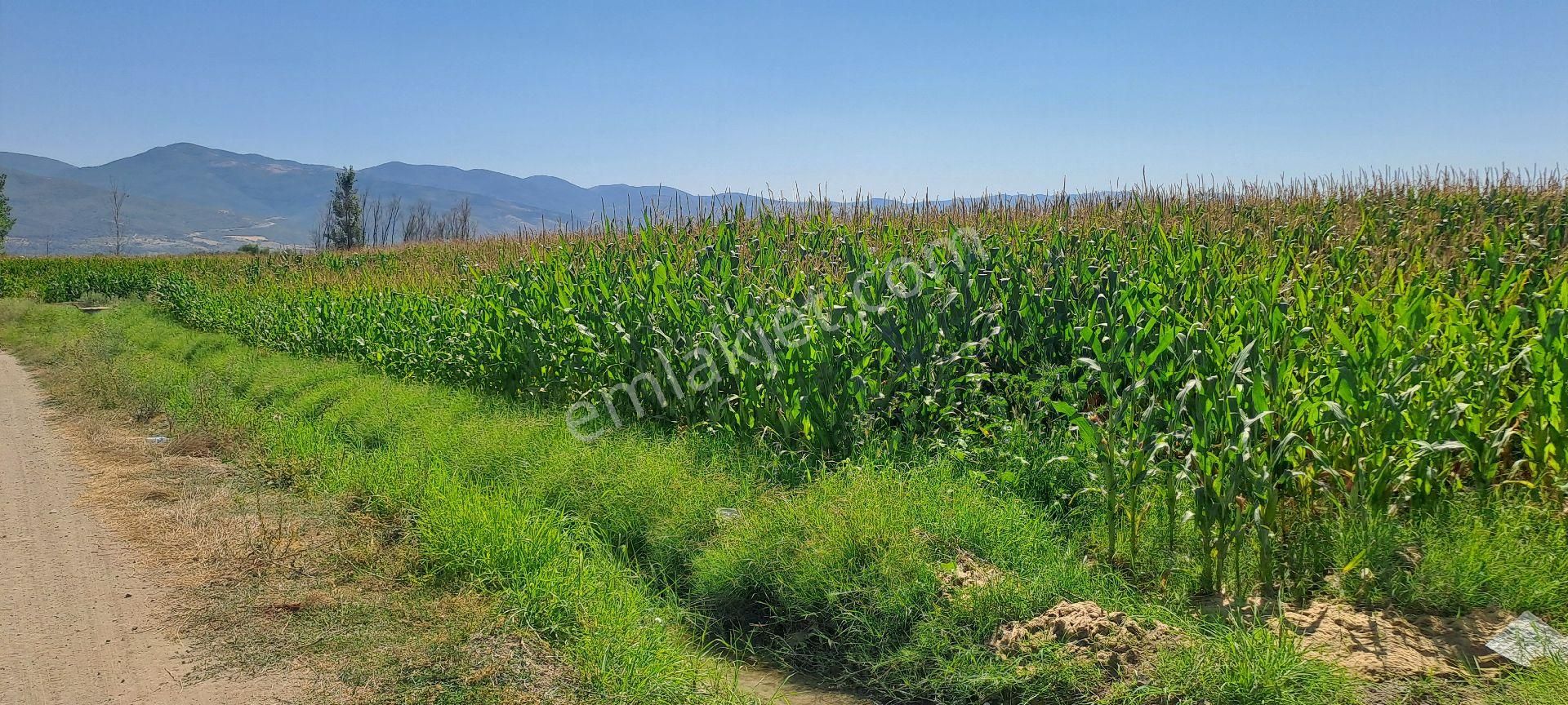 Dökmetepede Satılık Arsa - Görsel 13