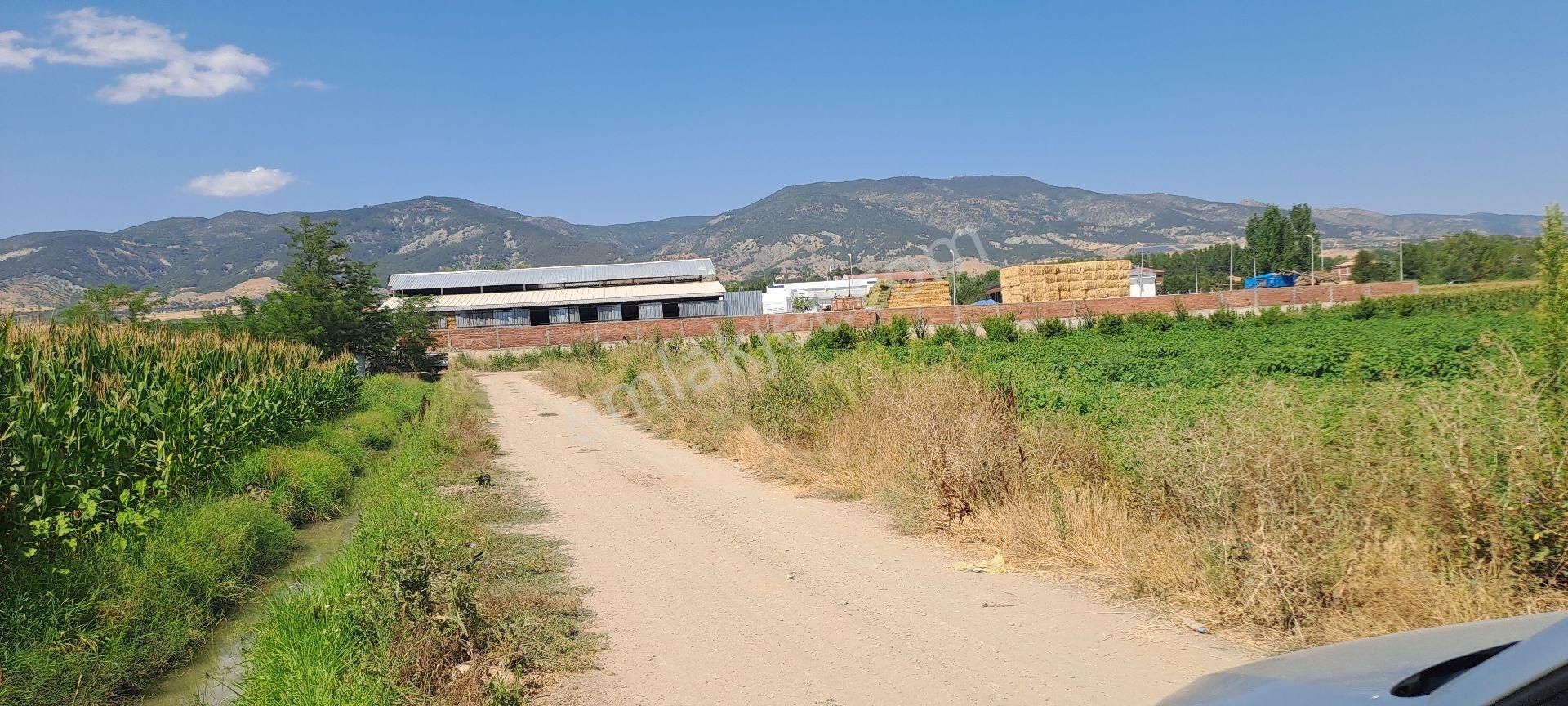 Dökmetepede Satılık Arsa - Görsel 12