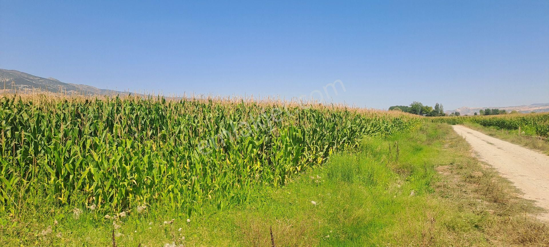 Dökmetepede Satılık Arsa - Görsel 6