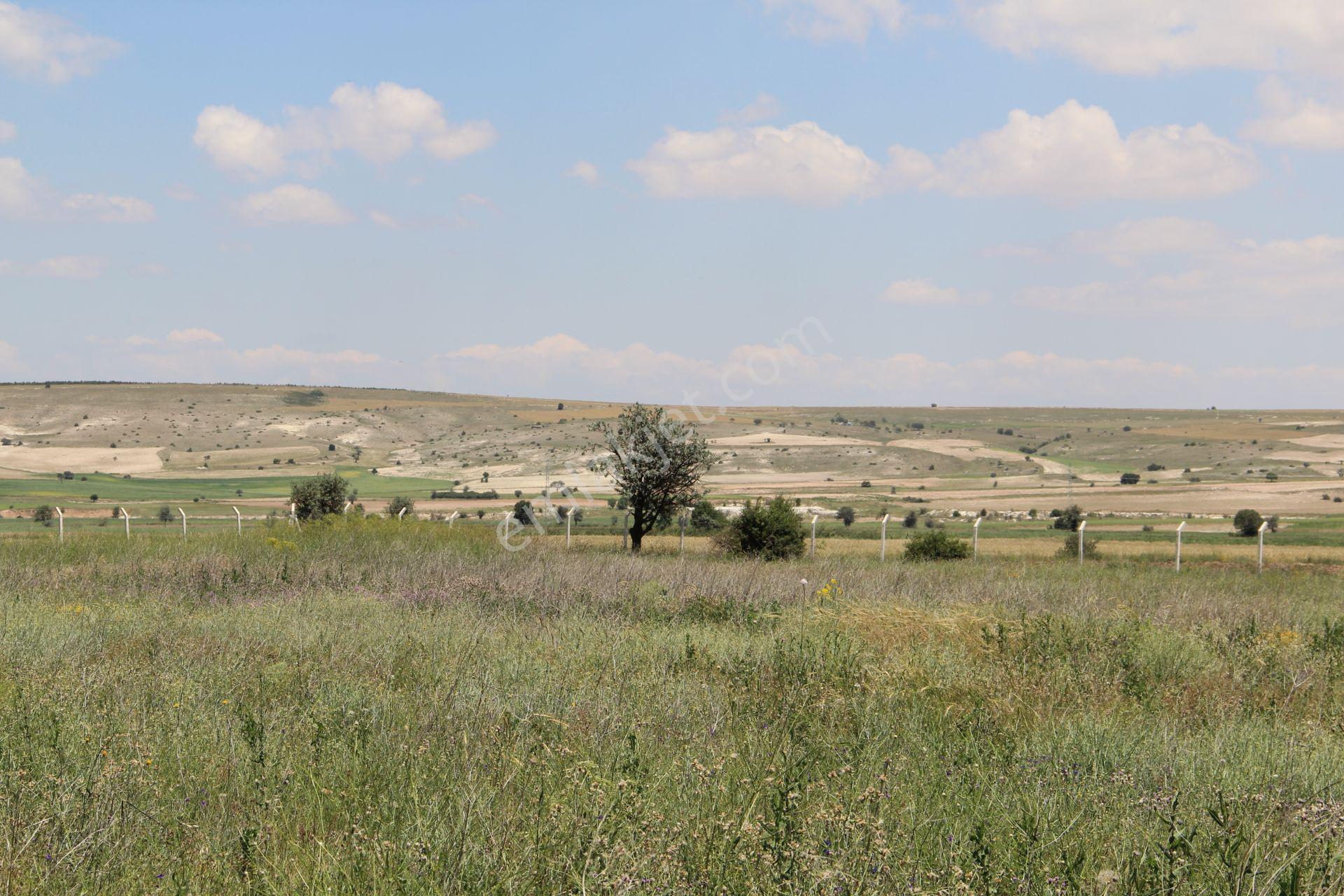 Anka Gayrimenkul'den Bütün Altyapısı Hazır 16.200 M2 Satılık Arazi - Görsel 21