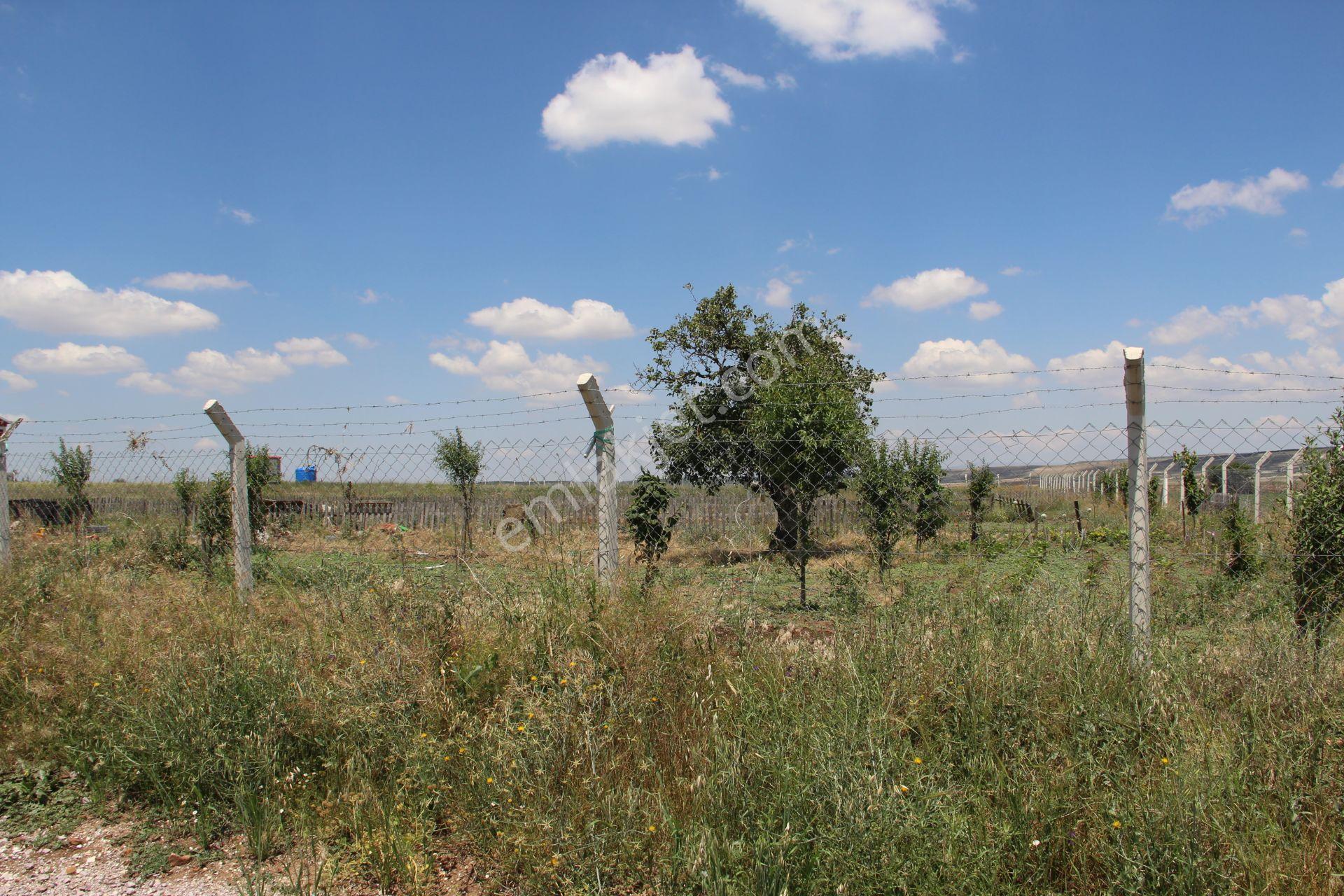 Anka Gayrimenkul'den Bütün Altyapısı Hazır 16.200 M2 Satılık Arazi - Görsel 5