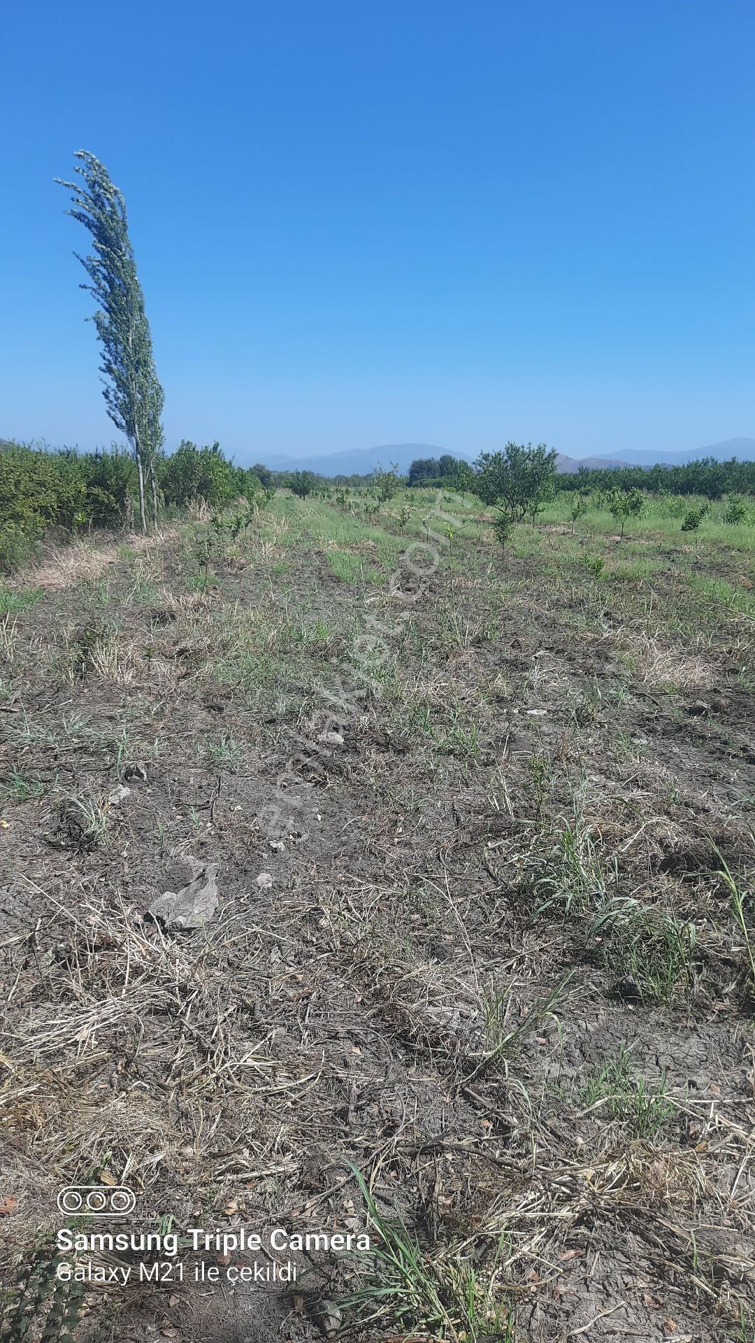 Yeşilyurt'da 16.100 M2 Yer - Görsel 9