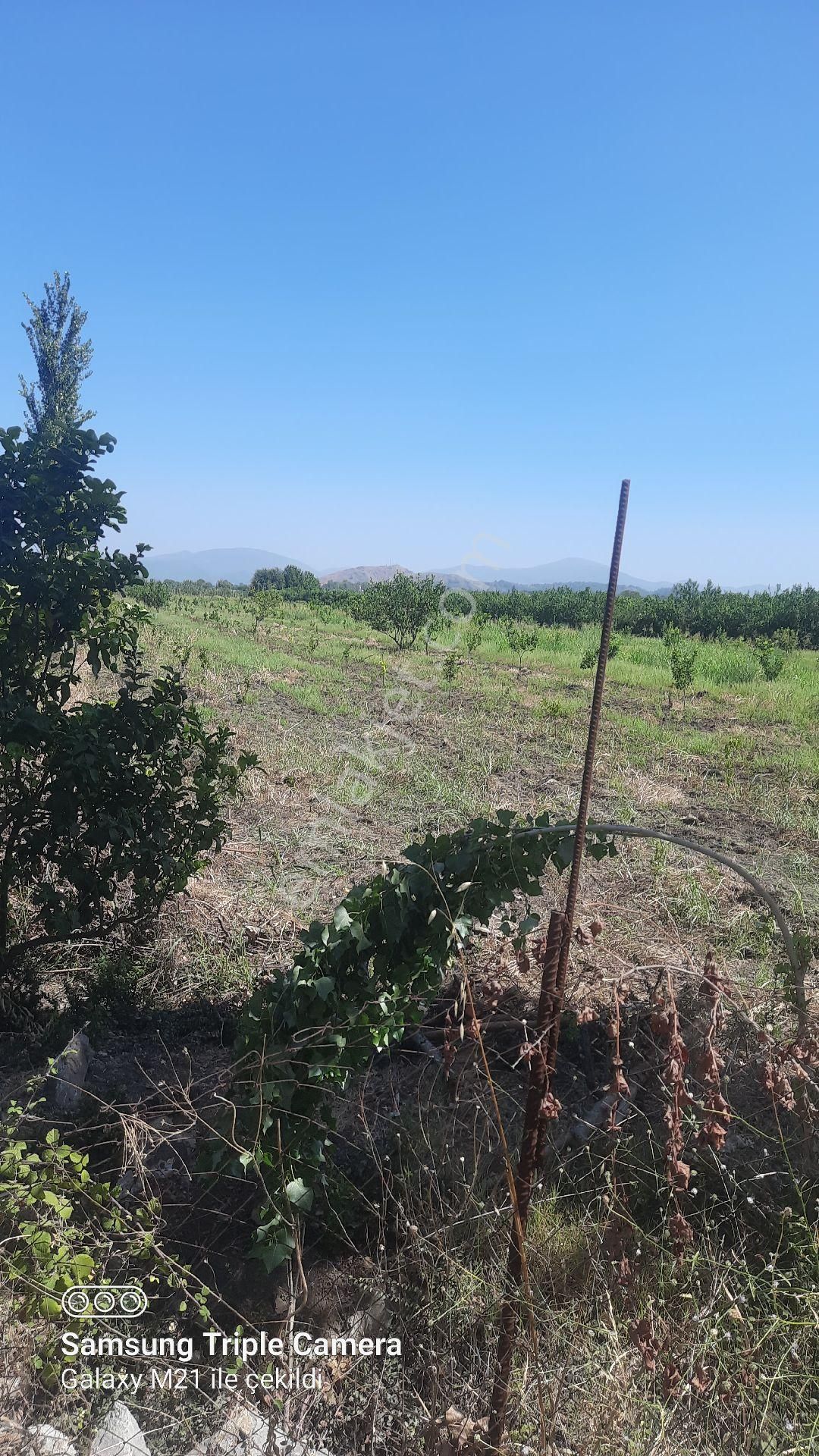 Yeşilyurt'da 16.100 M2 Yer - Görsel 17