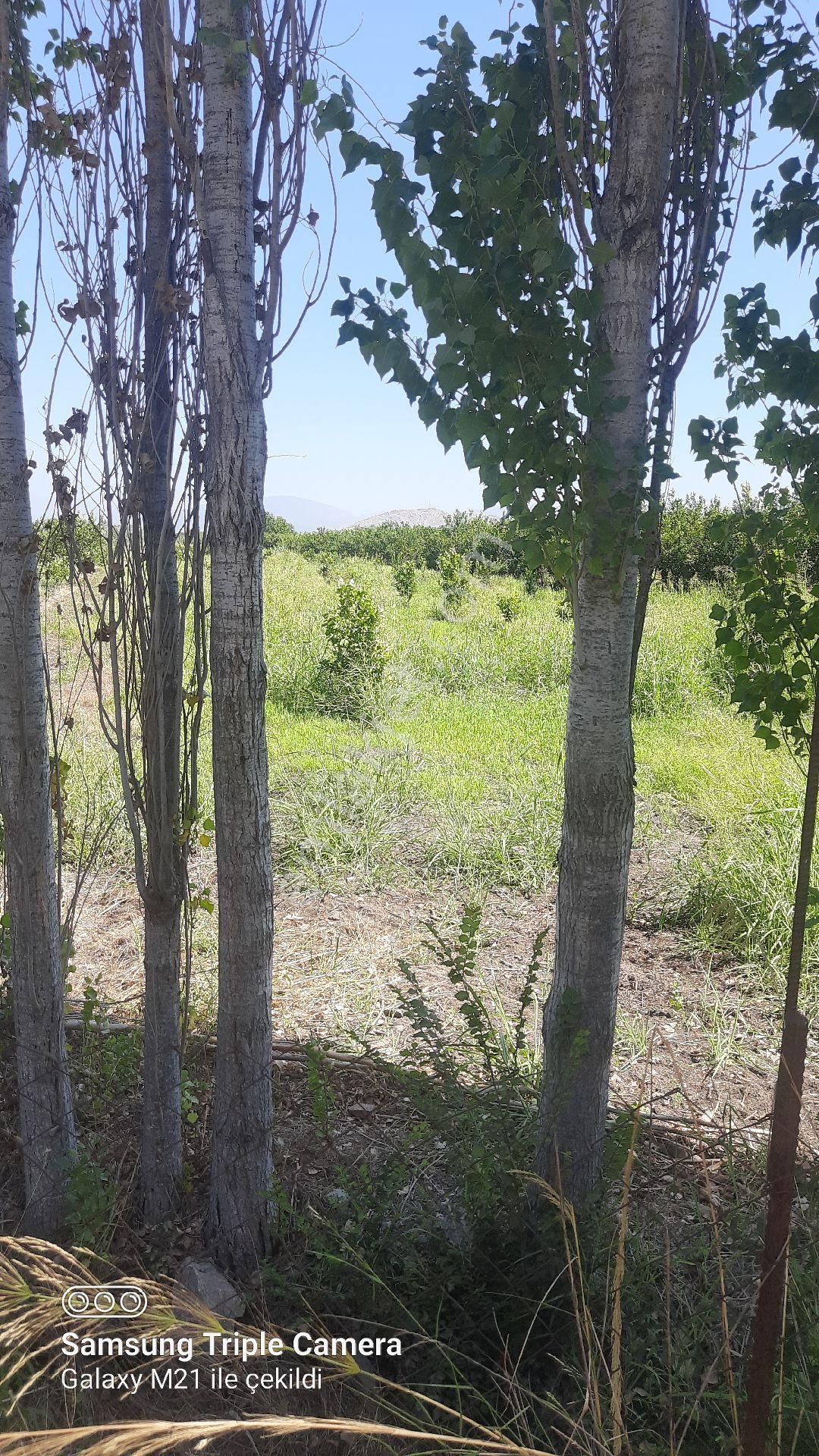 Yeşilyurt'da 16.100 M2 Yer - Görsel 4