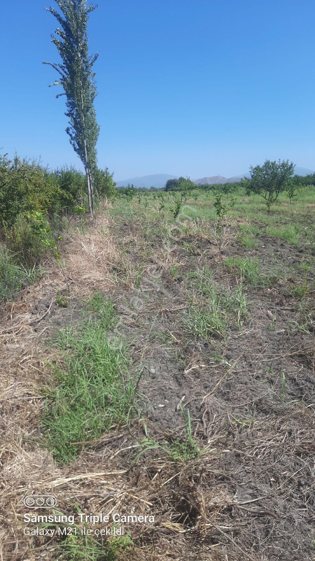 Yeşilyurt'da 16.100 M2 Yer - Görsel 12
