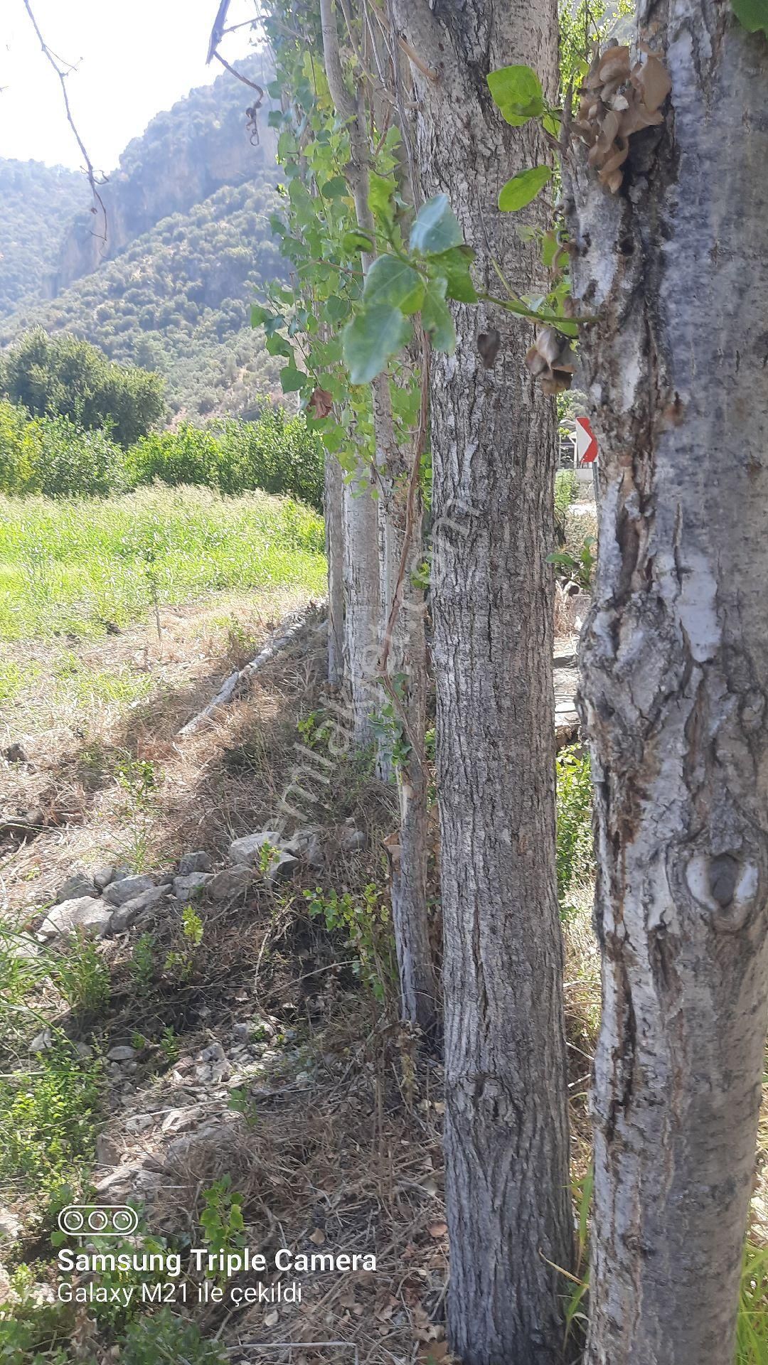 Yeşilyurt'da 16.100 M2 Yer - Görsel 11