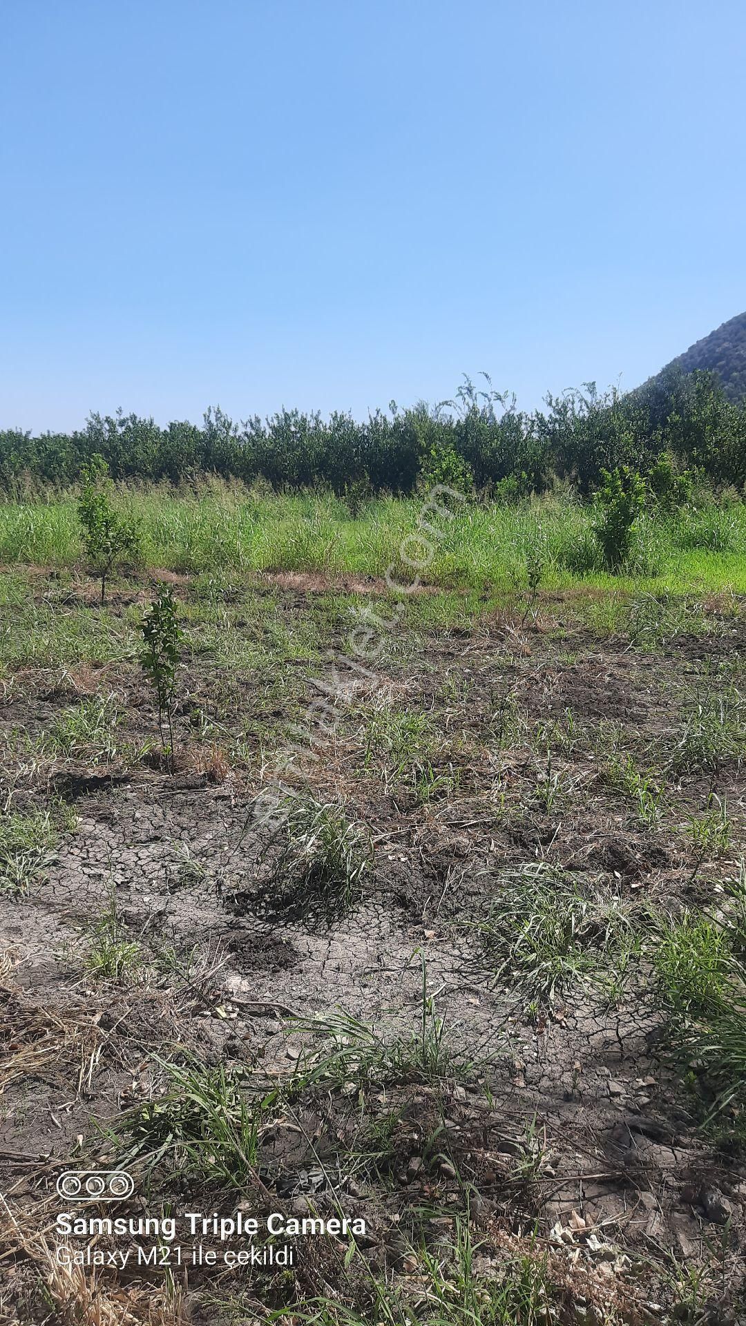 Yeşilyurt'da 16.100 M2 Yer - Görsel 10