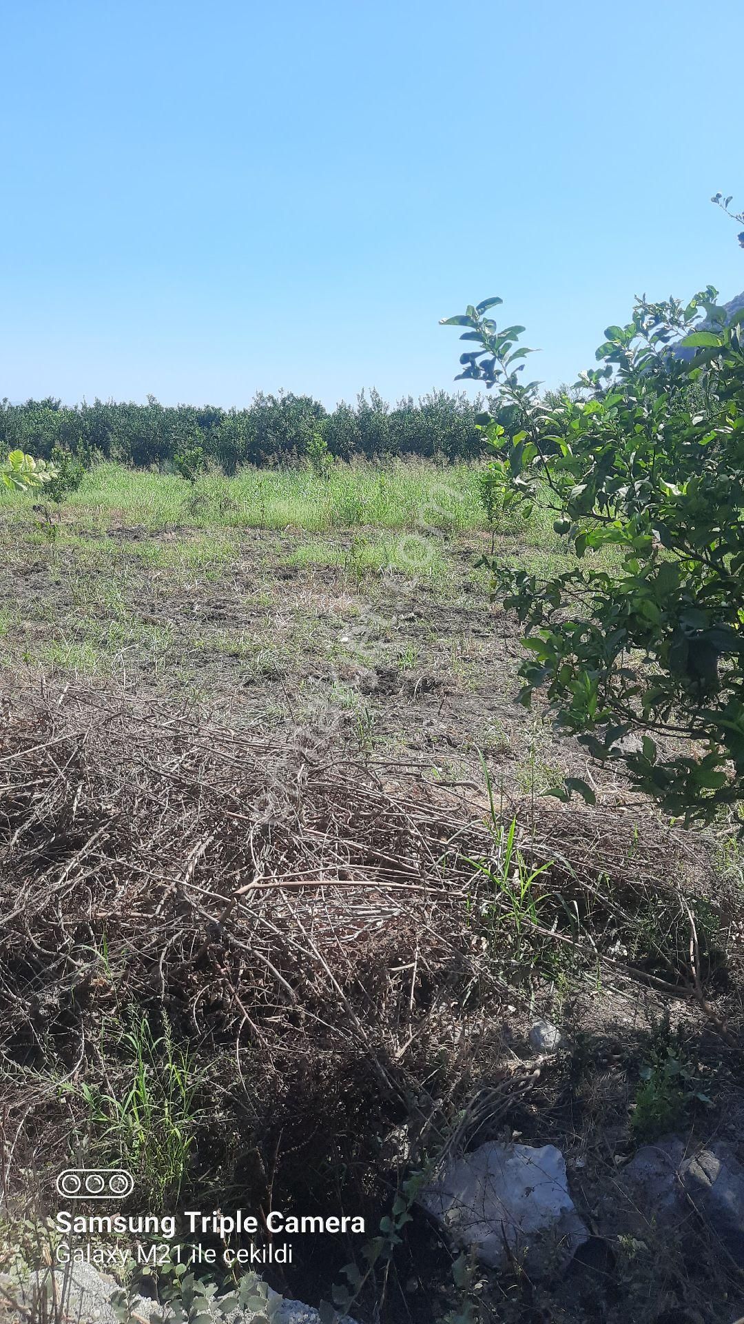 Yeşilyurt'da 16.100 M2 Yer - Görsel 15
