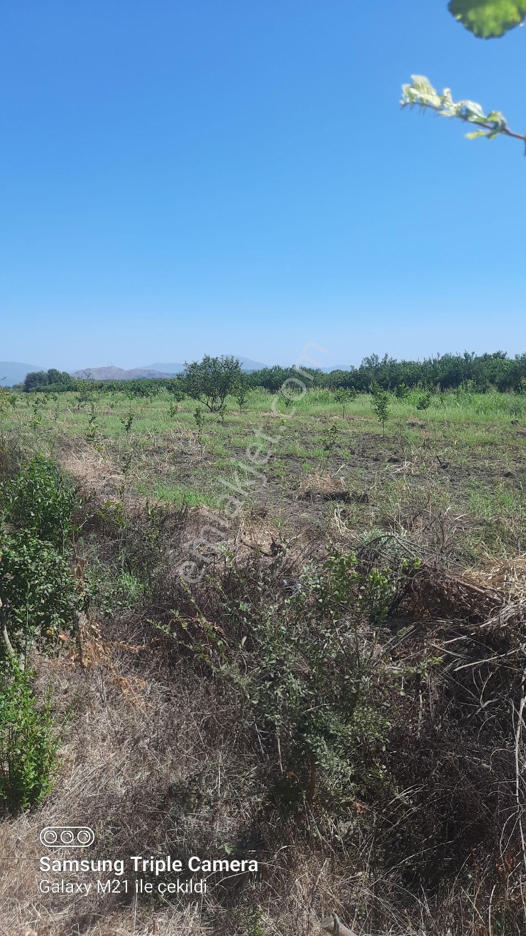 Yeşilyurt'da 16.100 M2 Yer - Görsel 18