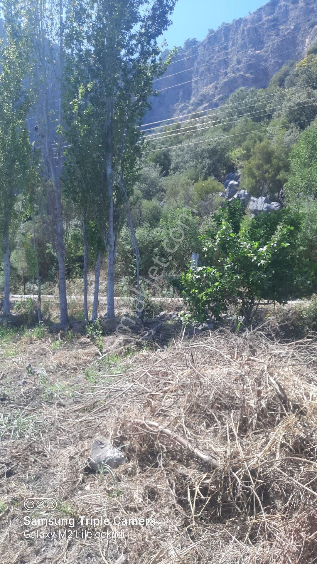 Yeşilyurt'da 16.100 M2 Yer - Görsel 14