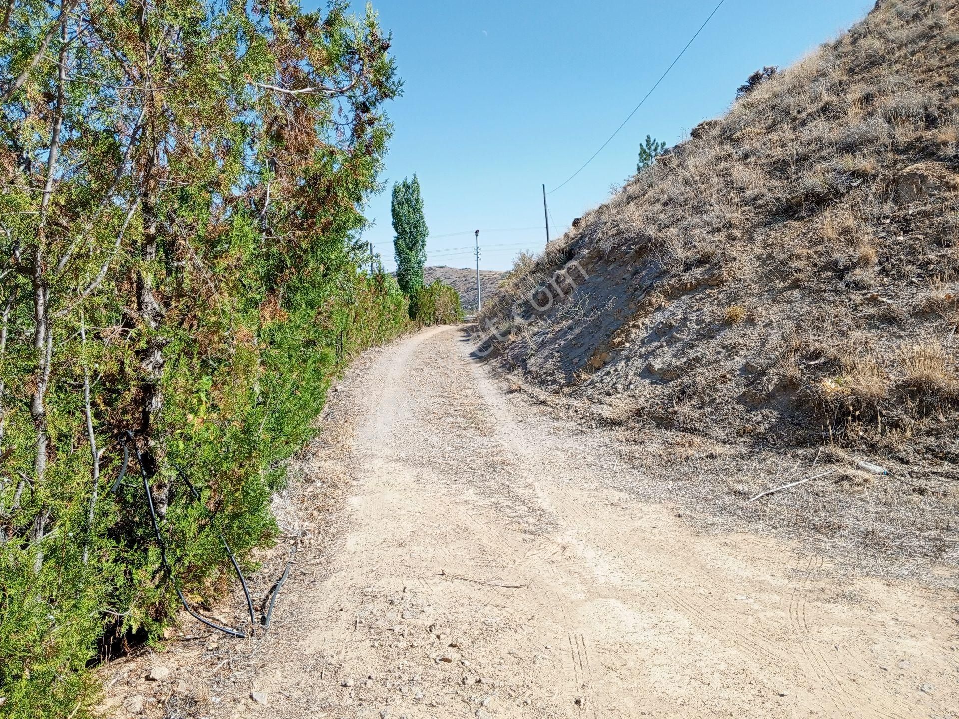 Konya Sille Mah. 2637 M2 Konut İmarlı Satılık Arsa Ama Şuanda Bahçe Oarak Kulanılıyor - Görsel 24
