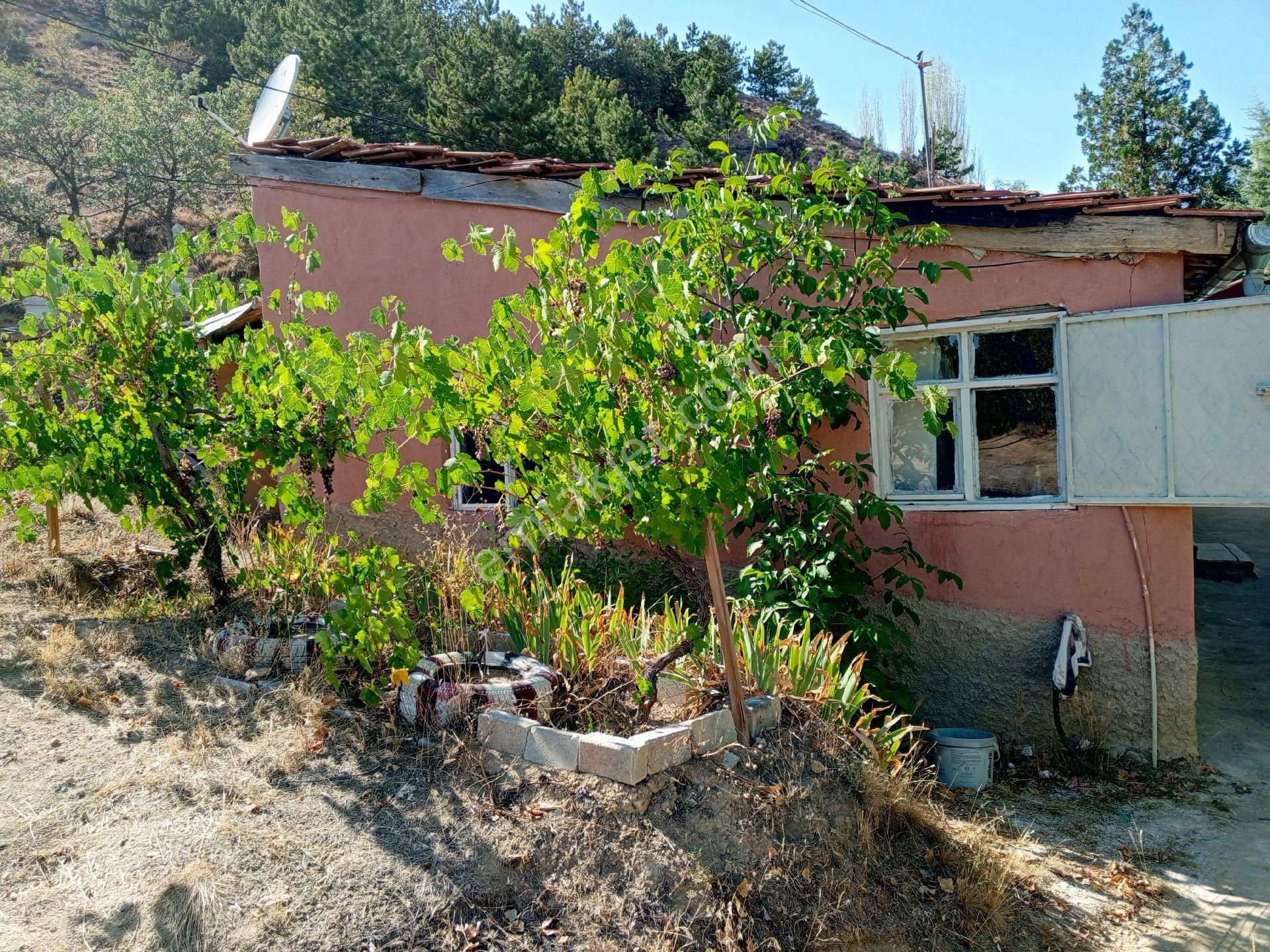 Konya Sille Mah. 2637 M2 Konut İmarlı Satılık Arsa Ama Şuanda Bahçe Oarak Kulanılıyor - Görsel 19