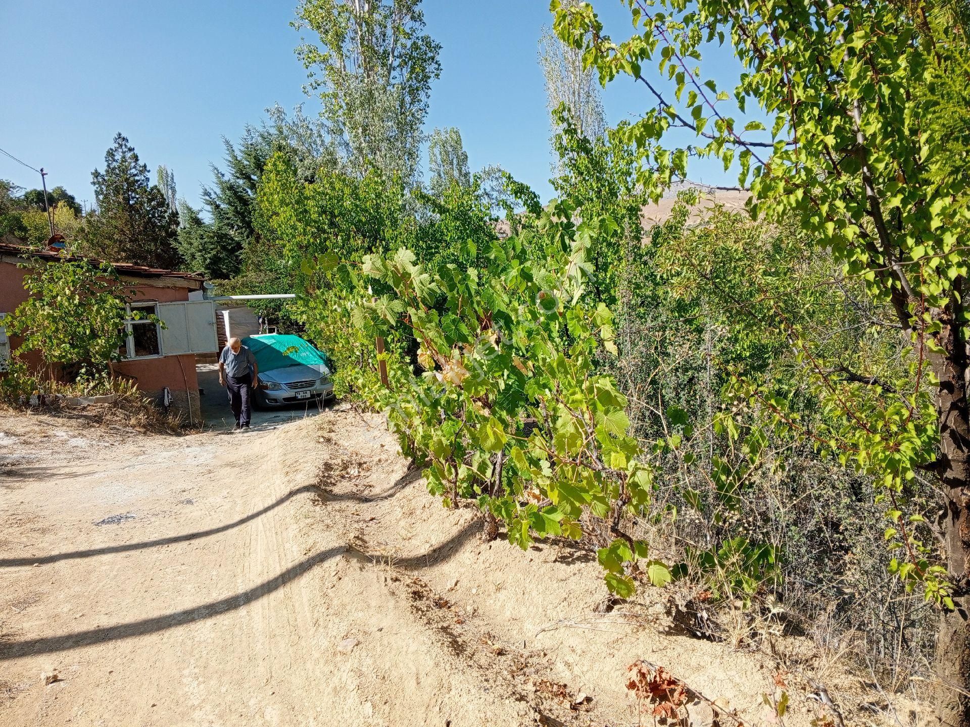 Konya Sille Mah. 2637 M2 Konut İmarlı Satılık Arsa Ama Şuanda Bahçe Oarak Kulanılıyor - Görsel 31