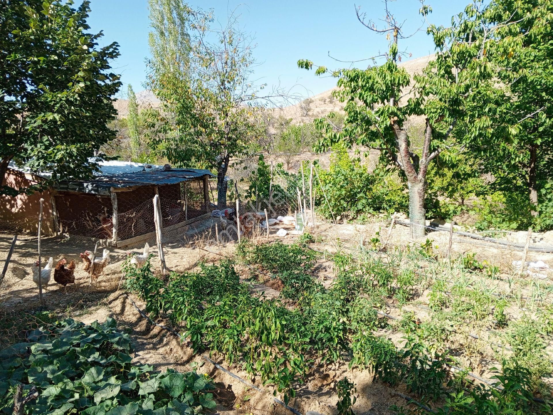 Konya Sille Mah. 2637 M2 Konut İmarlı Satılık Arsa Ama Şuanda Bahçe Oarak Kulanılıyor - Görsel 35