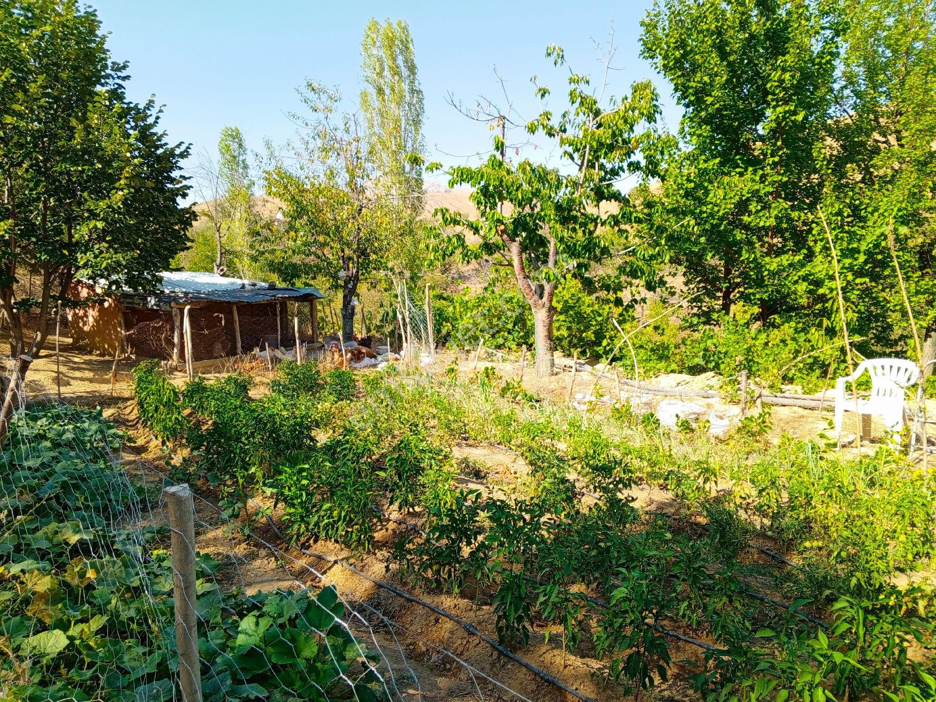 Konya Sille Mah. 2637 M2 Konut İmarlı Satılık Arsa Ama Şuanda Bahçe Oarak Kulanılıyor - Görsel 9