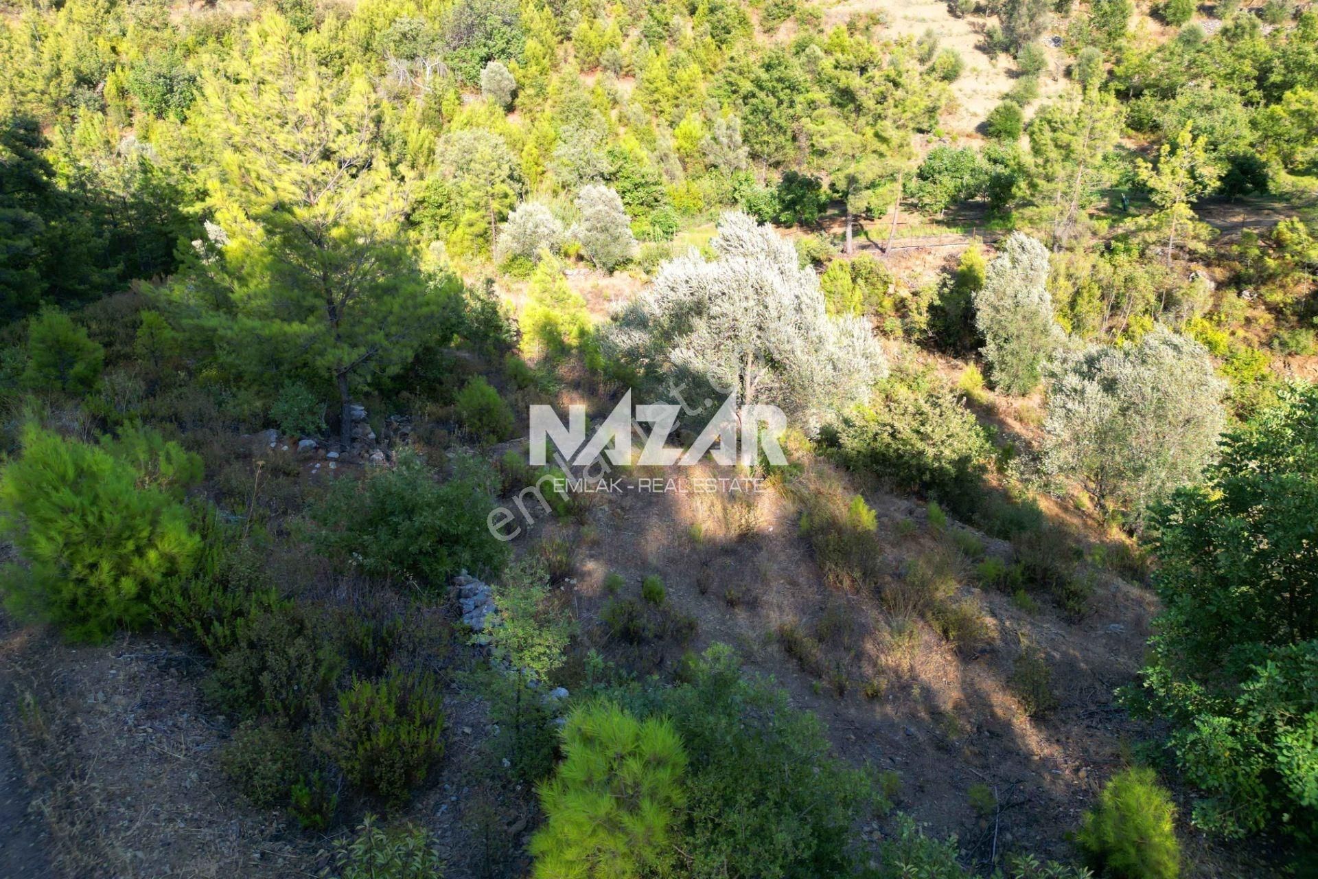 Alanya Fakırcalı’da 499 M² Satılık Tarla - Görsel 13