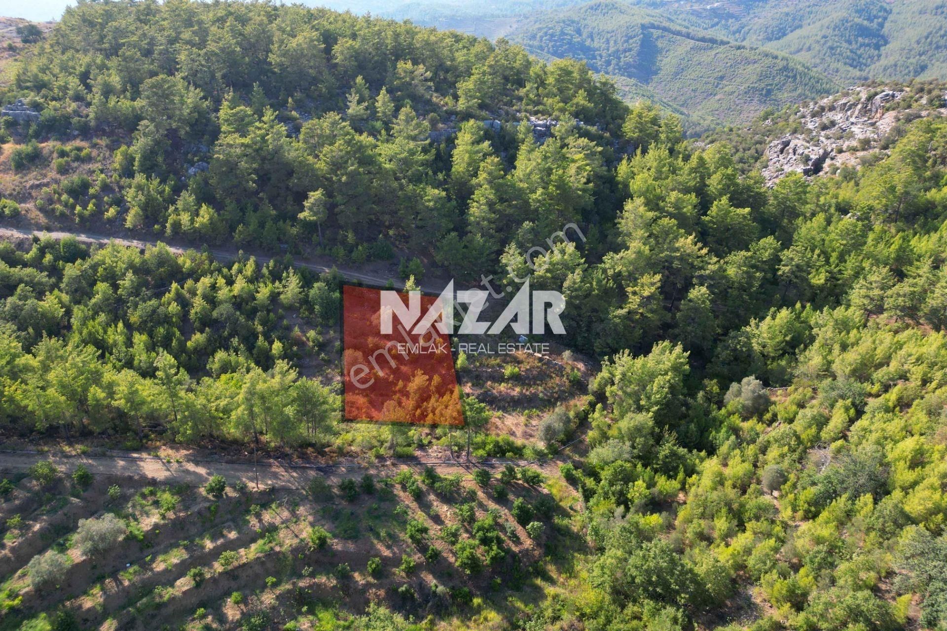Alanya Fakırcalı’da 499 M² Satılık Tarla - Görsel 4