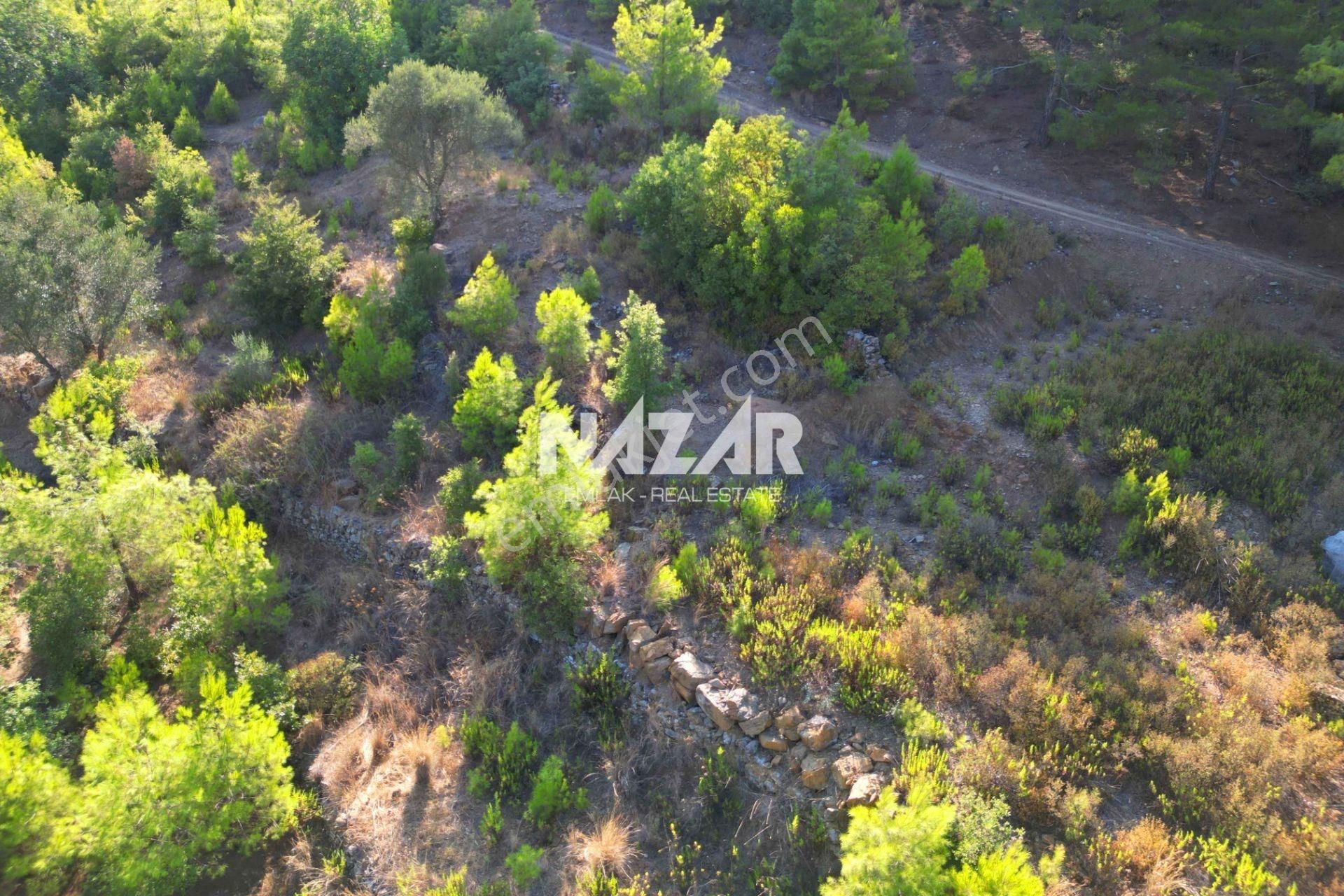 Alanya Fakırcalı’da 499 M² Satılık Tarla - Görsel 5