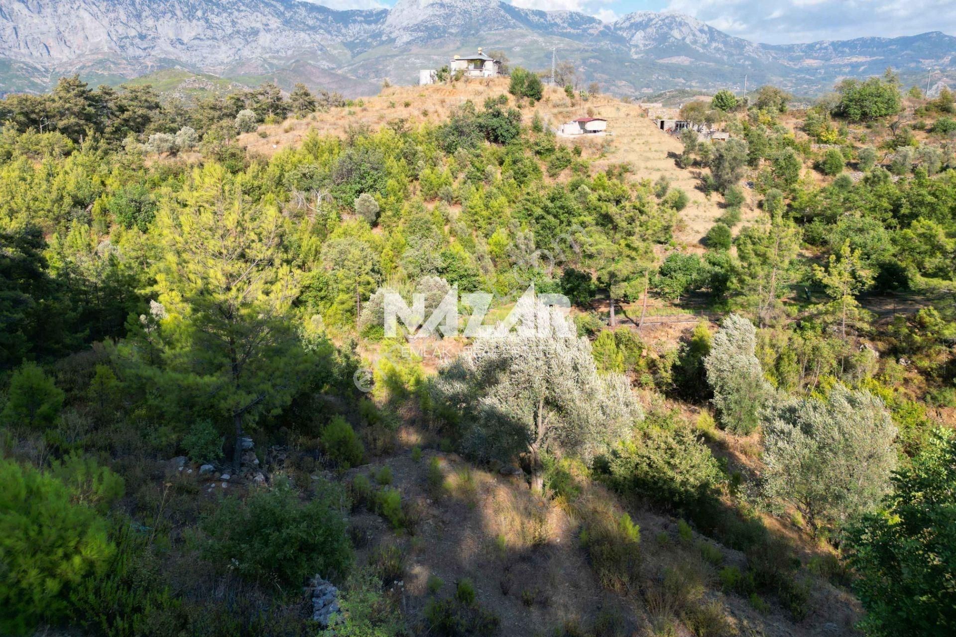 Alanya Fakırcalı’da 499 M² Satılık Tarla - Görsel 14