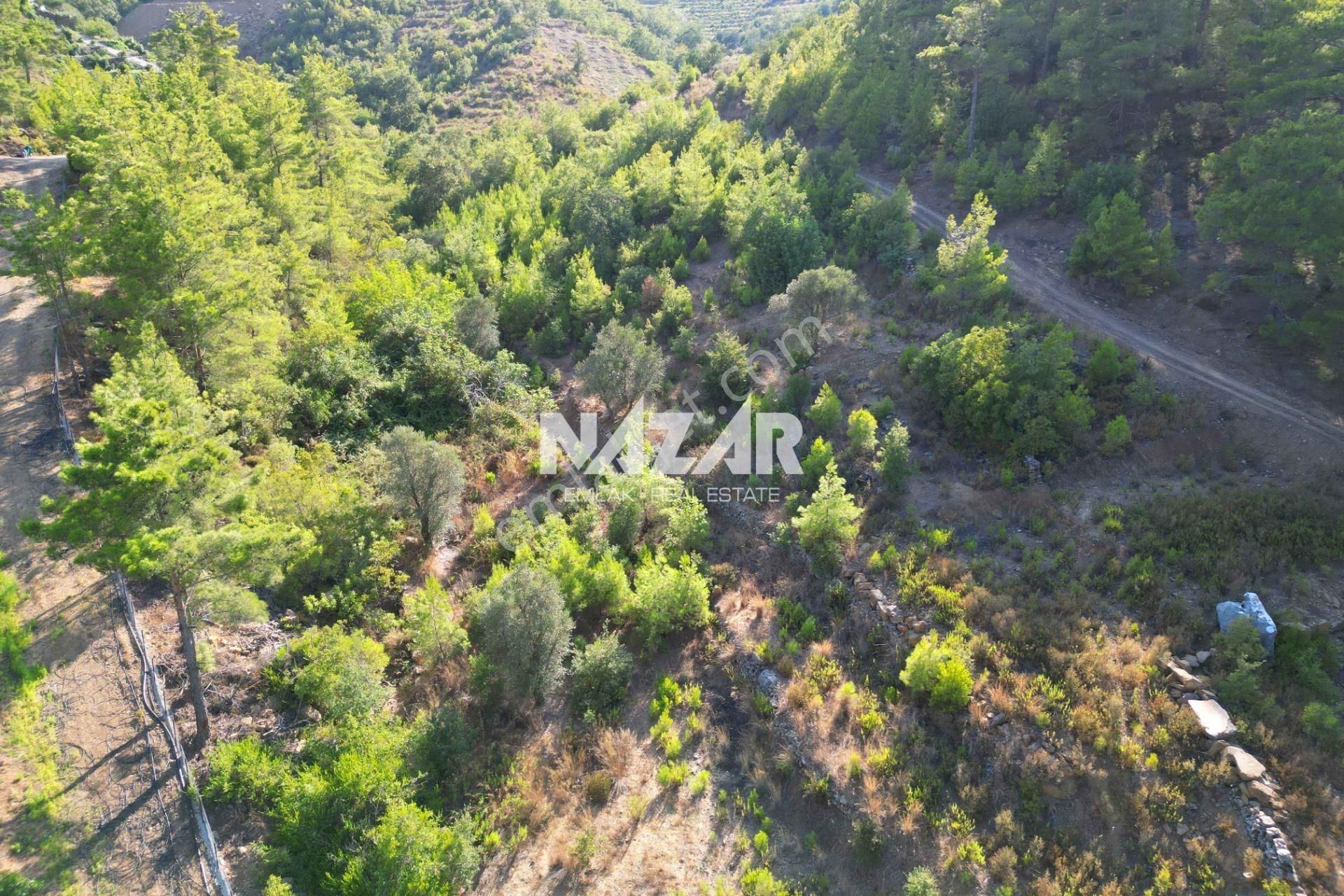 Alanya Fakırcalı’da 499 M² Satılık Tarla - Görsel 12