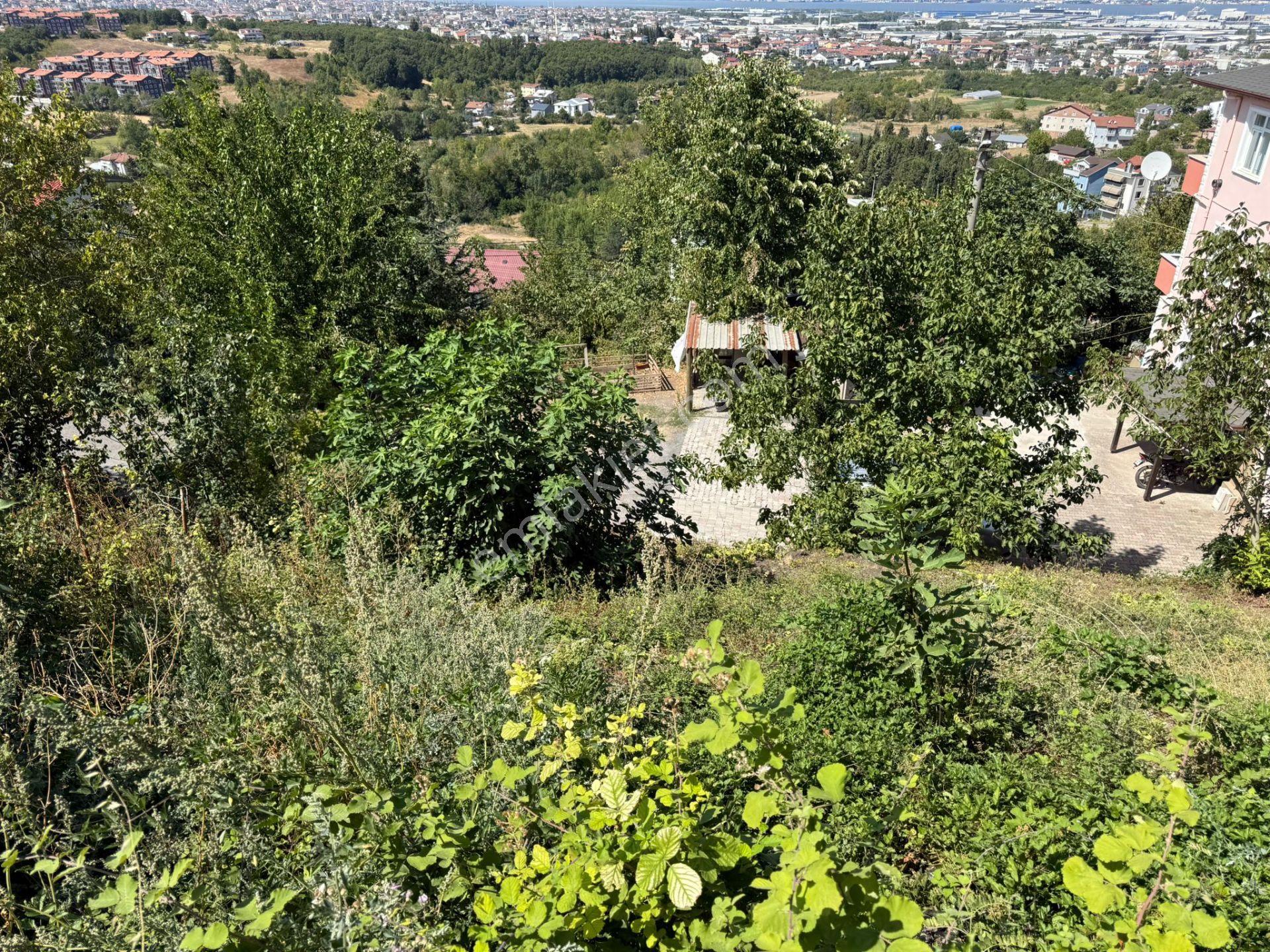 Gölcük Yazlık'ta Deniz Manzaralı Arsa - Görsel 8