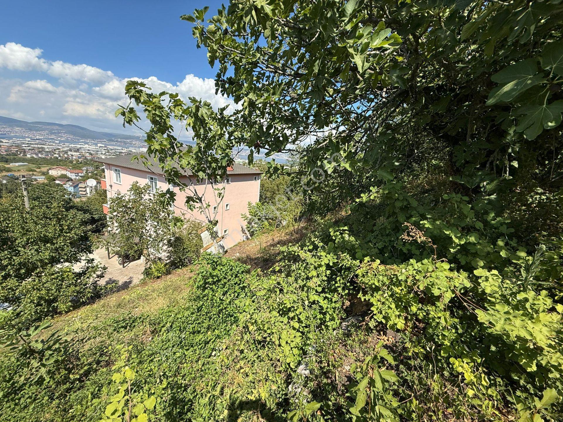Gölcük Yazlık'ta Deniz Manzaralı Arsa - Görsel 3