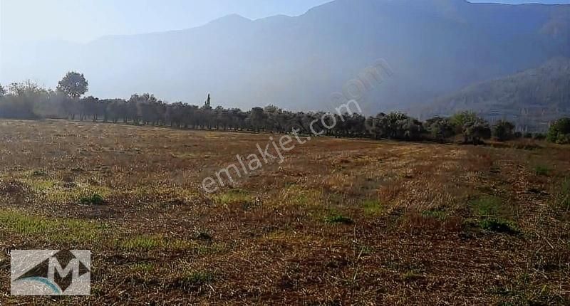 Acil Satılık - Bursa / Orhangazi 'de Fırsat Arsa - Görsel 3